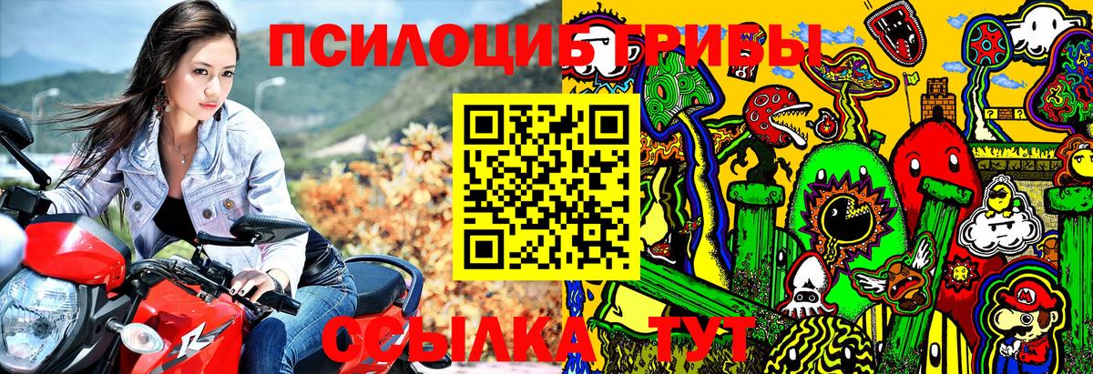 Галлюциногенные грибы мицелий Алейск