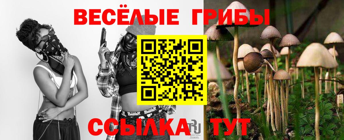 Алейск  Псилоцибиновые грибы Magic Shrooms  Вход с VPN 